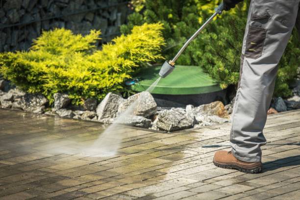 Professional Pressure Washing Services in Ripley, MS