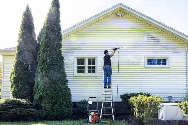 Best Residential House Exterior Washing  in Ripley, MS